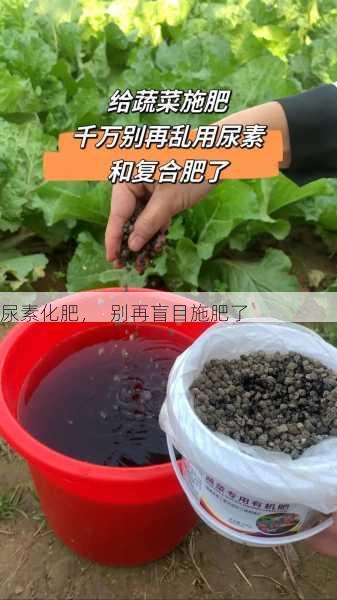 尿素化肥，  别再盲目施肥了第1张-蔬菜基地绿色种植产业带