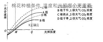 棉花种植条件  温度和光照哪个更重要第2张-蔬菜基地绿色种植产业带