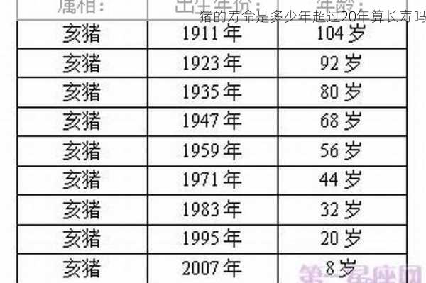 猪的寿命是多少年超过20年算长寿吗第1张-蔬菜基地绿色种植产业带