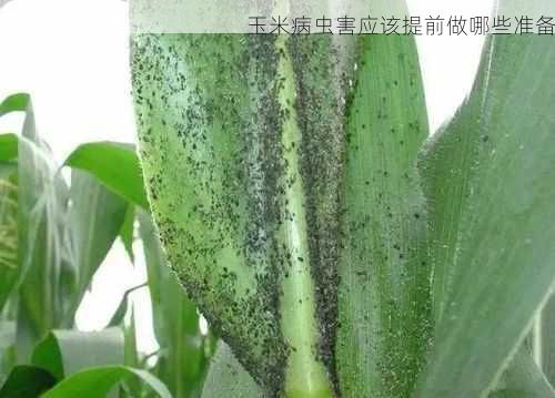 玉米病虫害应该提前做哪些准备第1张-蔬菜基地绿色种植产业带