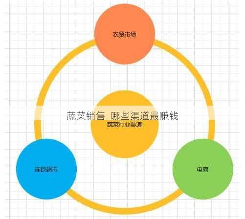 蔬菜销售  哪些渠道最赚钱第1张-蔬菜基地绿色种植产业带