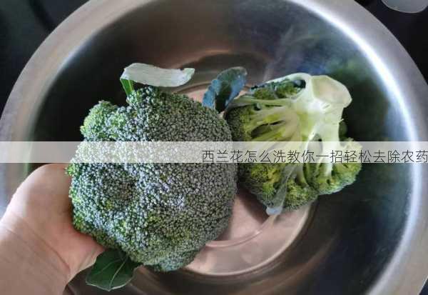 西兰花怎么洗教你一招轻松去除农药第1张-蔬菜基地绿色种植产业带