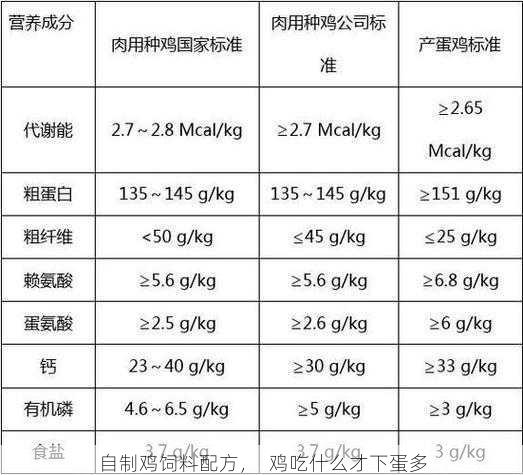 自制鸡饲料配方，  鸡吃什么才下蛋多第1张-蔬菜基地绿色种植产业带