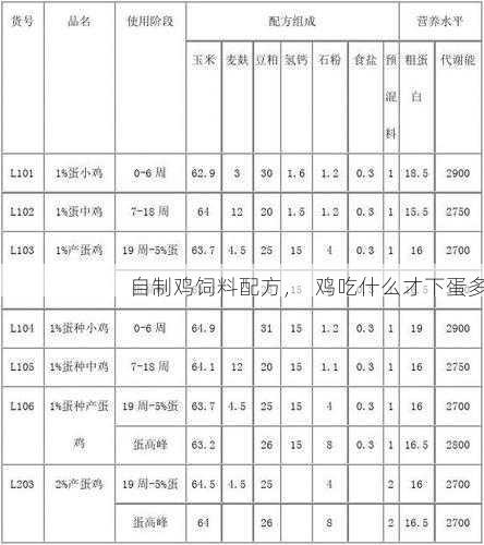 自制鸡饲料配方，  鸡吃什么才下蛋多第2张-蔬菜基地绿色种植产业带