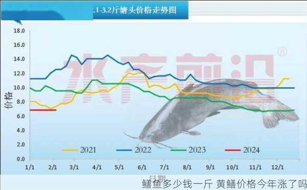 鳝鱼多少钱一斤 黄鳝价格今年涨了吗第2张-蔬菜基地绿色种植产业带