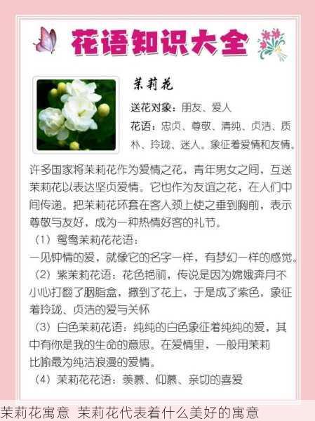 茉莉花寓意  茉莉花代表着什么美好的寓意第1张-蔬菜基地绿色种植产业带