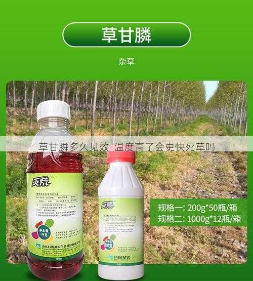 草甘膦多久见效  温度高了会更快死草吗第2张-蔬菜基地绿色种植产业带