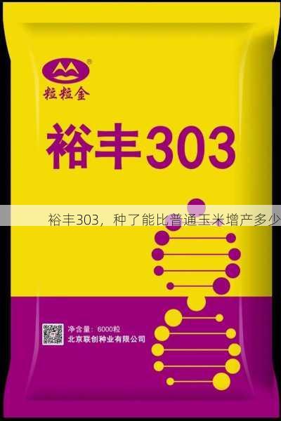 裕丰303，种了能比普通玉米增产多少第1张-蔬菜基地绿色种植产业带